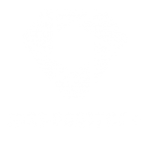 FAST-PROTECT PLUS_WIT